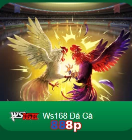 888p